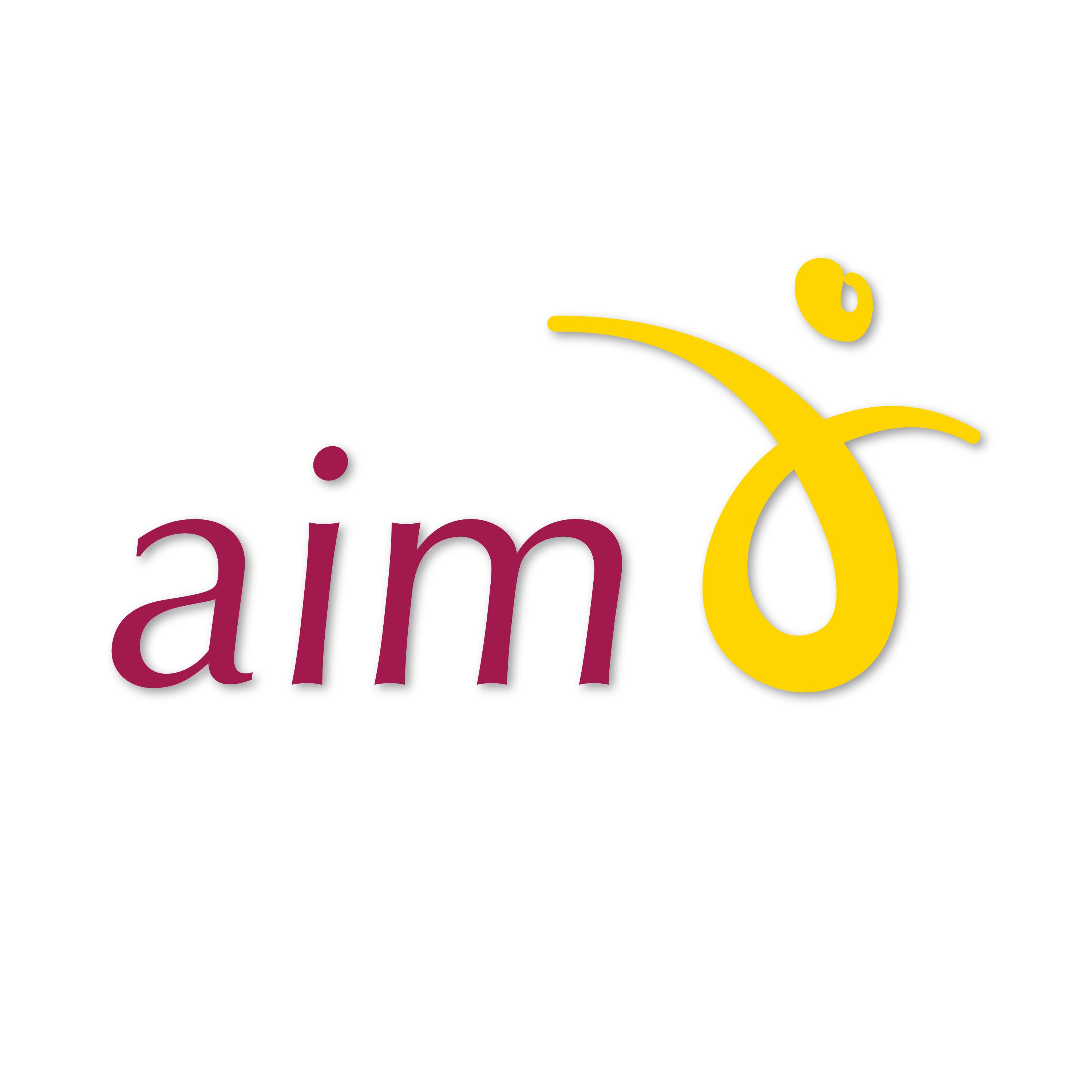 aim Logo